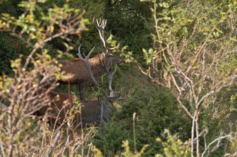 Un''arena molto contesa